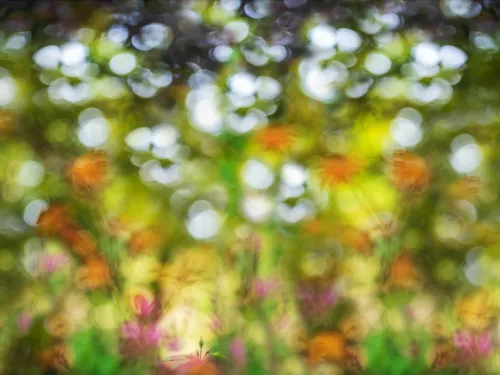 When stillness speaks MURAL